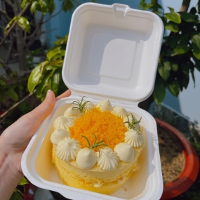 BENTO MINI BÔNG LAN TRỨNG MUỐI CUTE